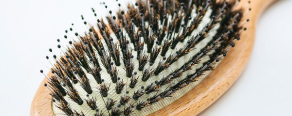 brosse en poils de sanglier